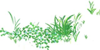 日杂少女改变风格,复古森女文艺优雅穿搭