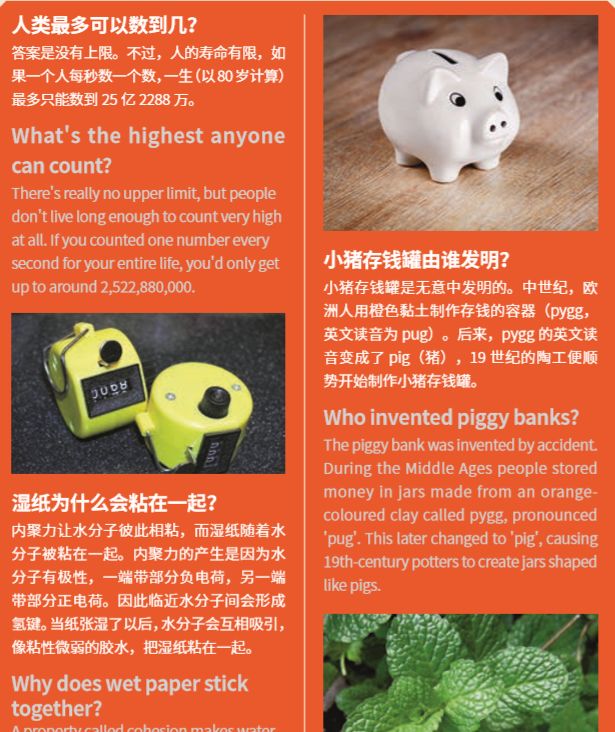 预告：用全球最畅销儿童科普杂志，带娃探索身边事物的奥秘