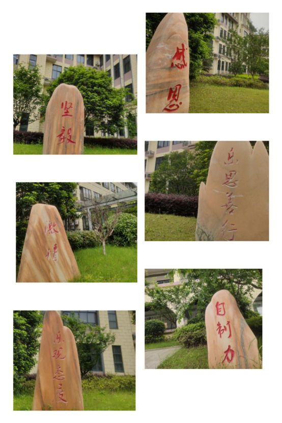 杭州民办学校排名前十,杭州民办学校最新排名