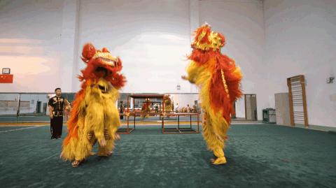 来武汉读书第一年,来武汉上大学的理由