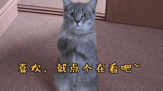 天天穿一双凉鞋,天天穿凉鞋好吗