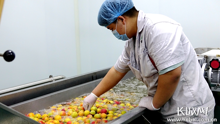 巨鹿：老“三宝”翻出新花样