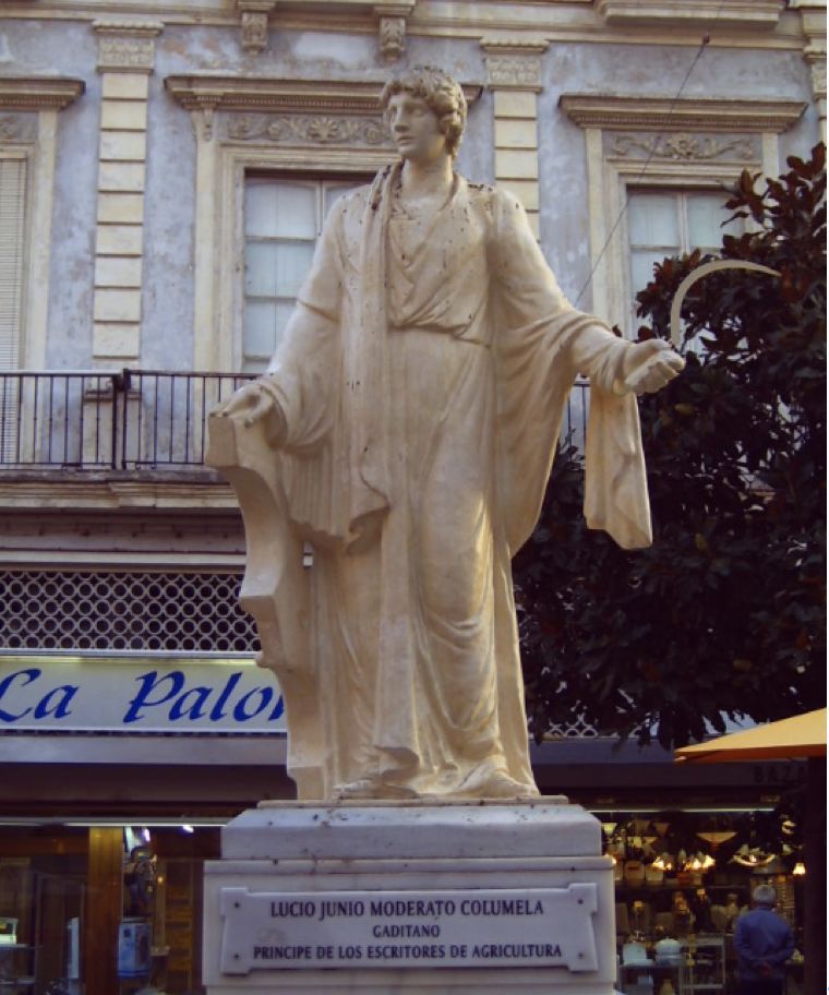 狗粮的历史来历,狗粮发展史大全