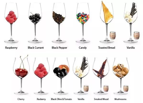 最全葡萄酒知识进阶篇 (葡萄酒入门知识点get起来)