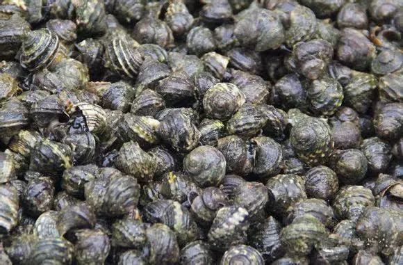 日照有什么好玩的地方,日照金山