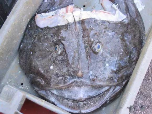 日照有什么好玩的地方,日照金山