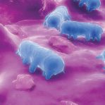 食品安全单纯给妈妈的科普,关于食品安全育儿知识