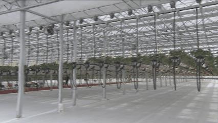 夏邑县美丽乡村介绍,美丽乡村之全景地图夏邑