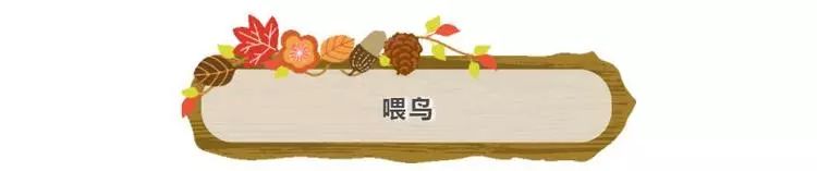 普通门票疯狂动物城,假期打卡疯狂动物城