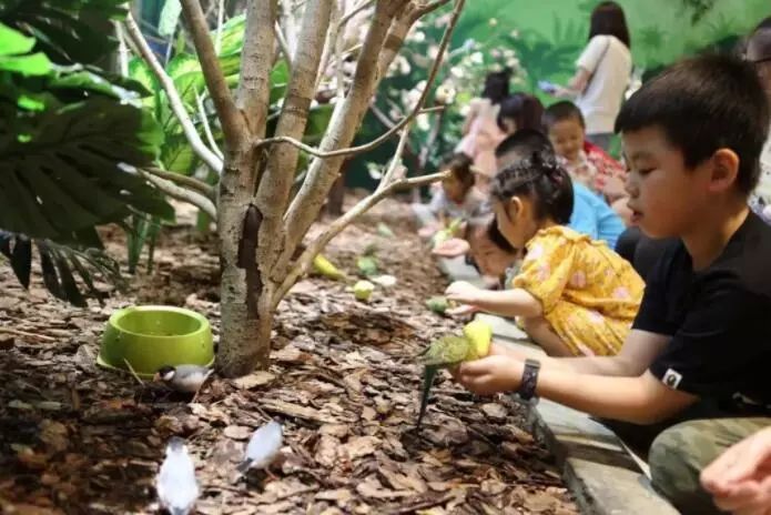 普通门票疯狂动物城,假期打卡疯狂动物城