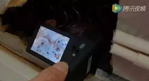 可怕！睡了10年的床垫掀开内部竟这样