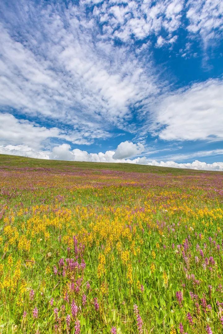 为什么叫甘肃,甘肃为什么叫河西走廊