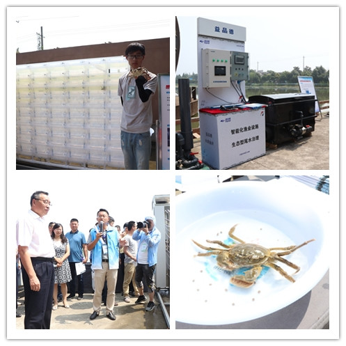 规模化水产养殖业基地的建设,打造国家级畜牧水产品基地