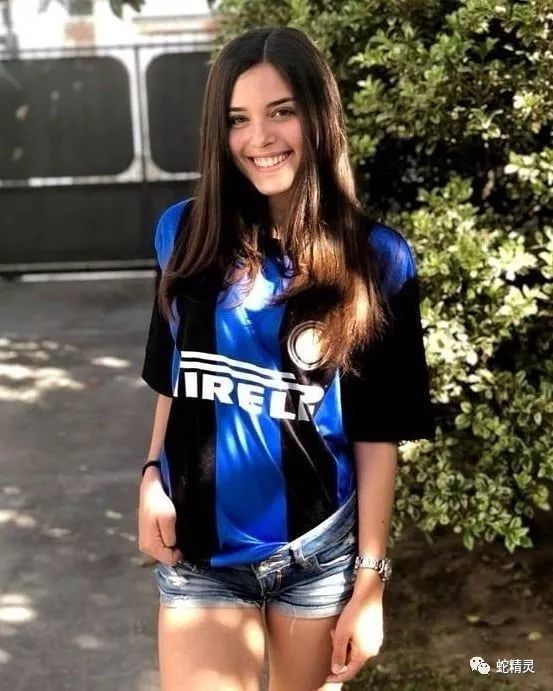 蓝黑转会,蓝黑军团最新信息