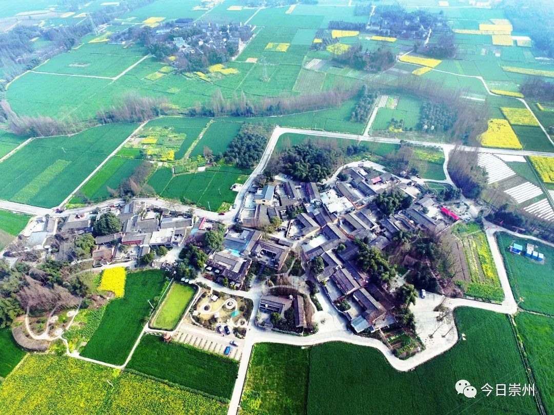 崇州自然赏花美景,崇州青山绿水