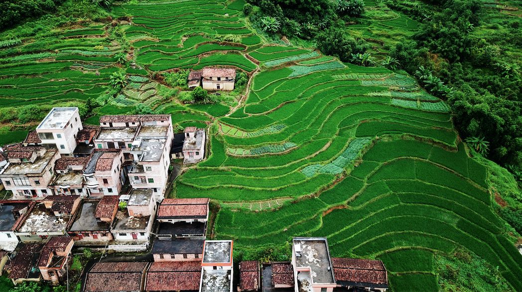 德庆乡村马拉松报名查询,广东德庆第二届乡村马拉松