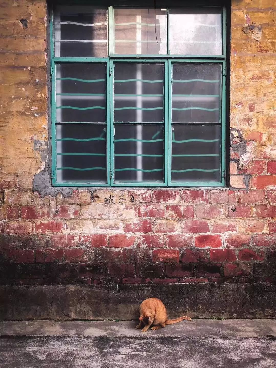 红专厂,红专厂现在的情况