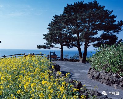 住帐篷一起看星星,住蒙古包看星星的地方