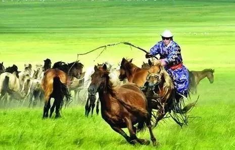 邳州广电直播间,邳州广电直播