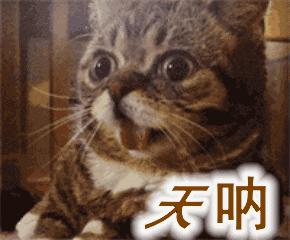 重庆大学博物馆赝品结果,重庆大学博物馆赝品后续怎样