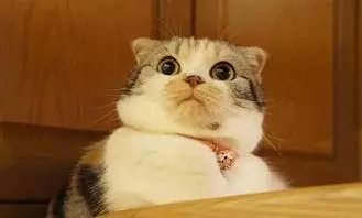 稳拿高薪的六个方法,稳拿高薪的六种方法