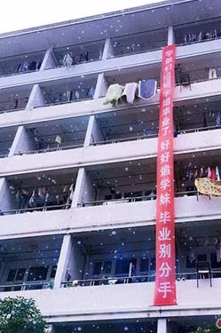 催人泪下的毕业横幅,本科毕业典礼横幅