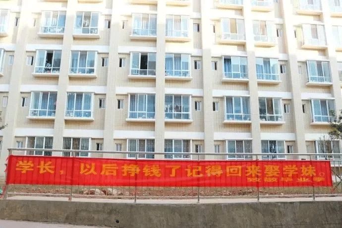 催人泪下的毕业横幅,本科毕业典礼横幅