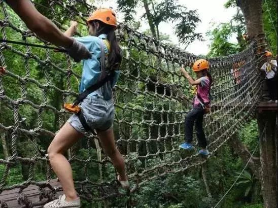 来西双版纳，做大自然的学生|雅居乐·西双林语夏令营开始报名啦