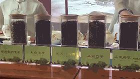 你是当之无愧的主角~短短几小时,外交部蓝厅,福建实力圈粉!