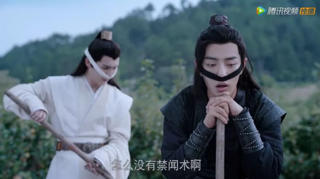 为什么都说陈情令好看,陈情令到底哪里好看