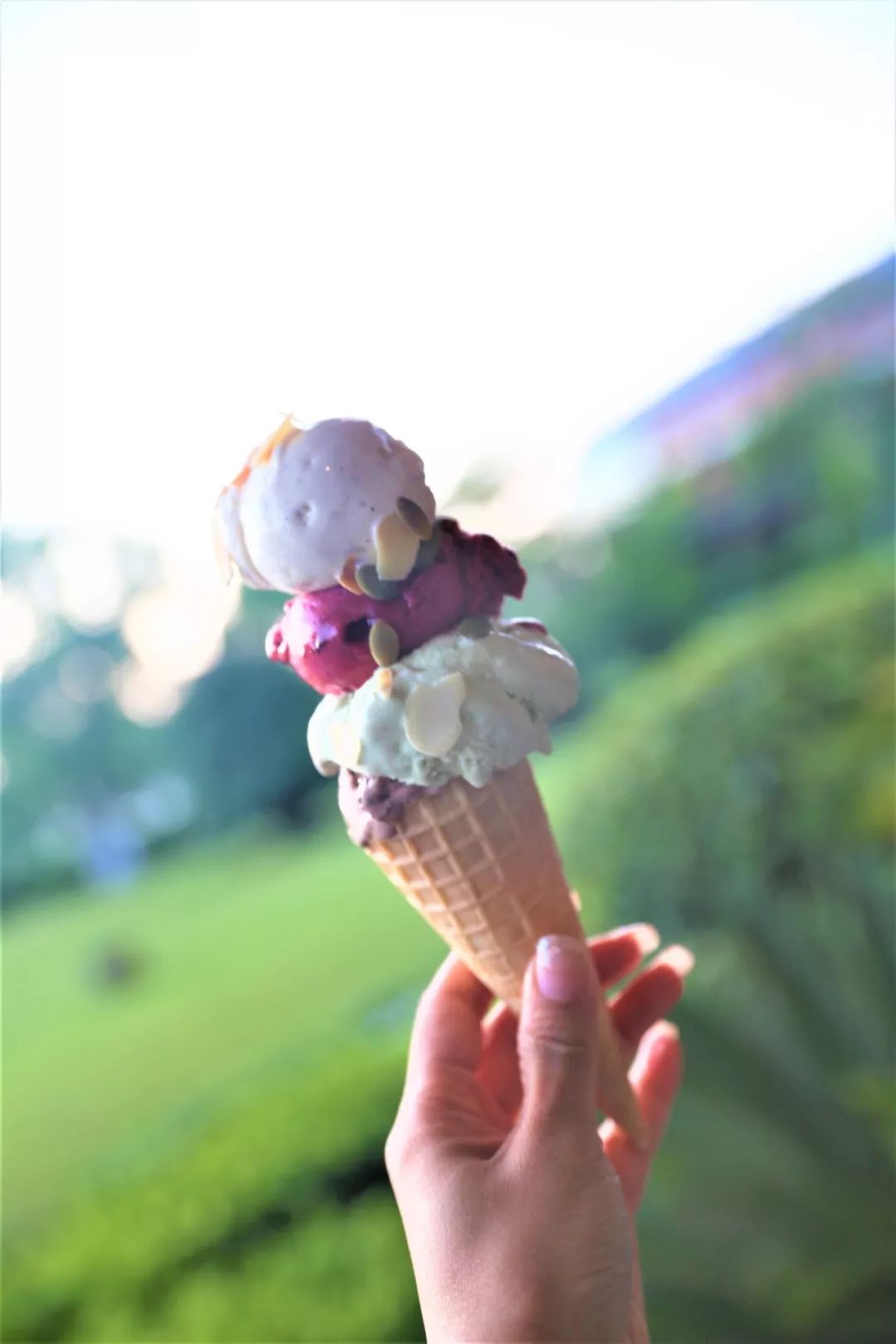 魔都最新网红地,魔都新晋打卡