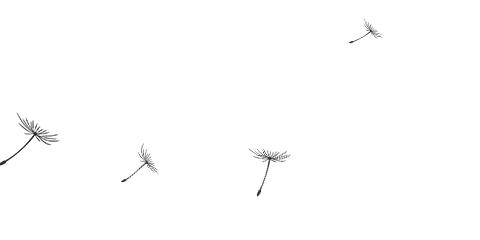 【毕业季】青春不散场！属于你的“大学那些年”报告来啦~