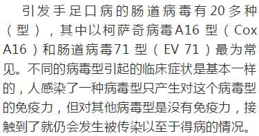 关于手足口病的科普脱口秀,手足口病科普讲解一等奖