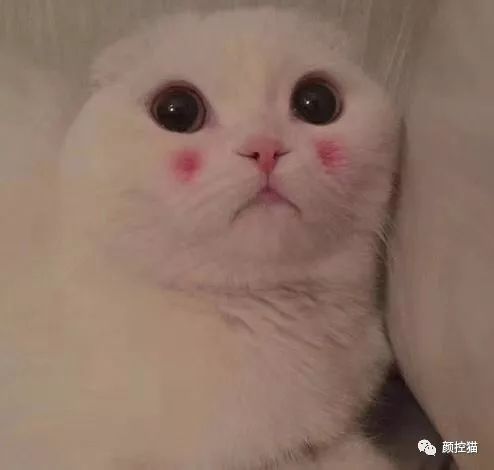 下巴后缩怎么办矫正,下巴后缩怎么办