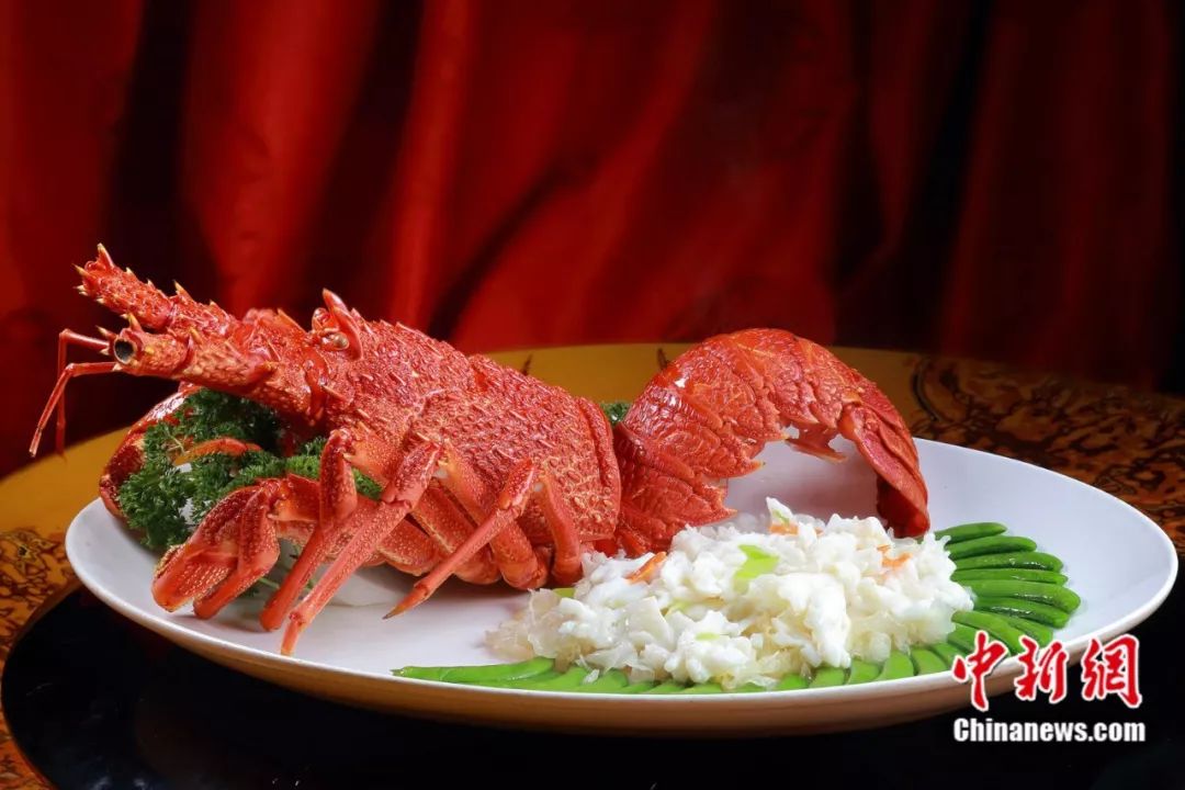 福建有约,福建与世界有约视频