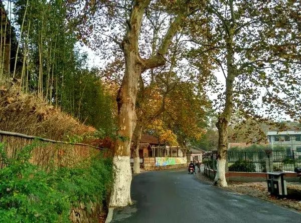 布鞋民族特色风,布鞋脚感