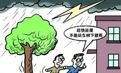 义乌新一轮强降雨袭来！雨天防护秘籍学起来