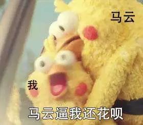 花呗一号用了这月十号就要还吗,花呗今天用了明天就可以还吗