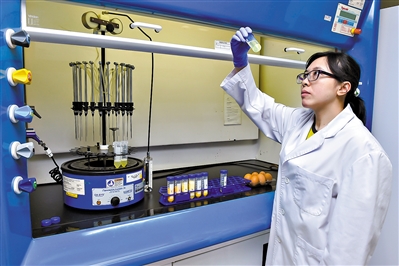 运用绿色荧光蛋白标记技术鲭鳉鱼和斑马鱼胚胎遇毒发光