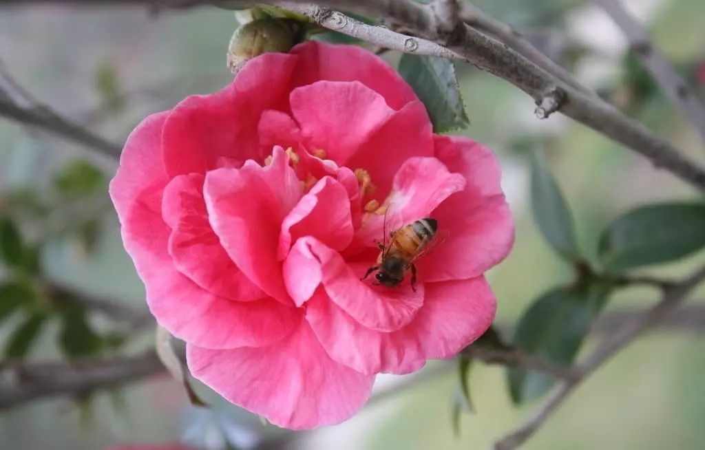 昆明金殿风景区古建筑之美,百年前昆明金殿照片