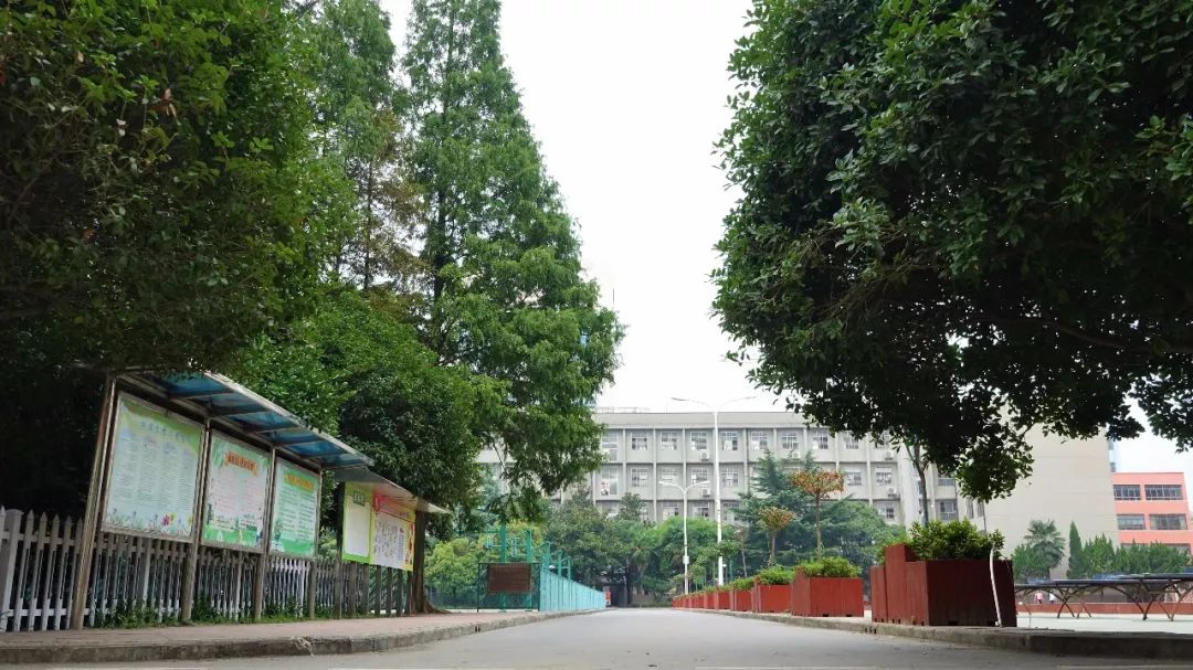 喜讯传来，这所学校厉害了！四中五中录取率名列全市前茅