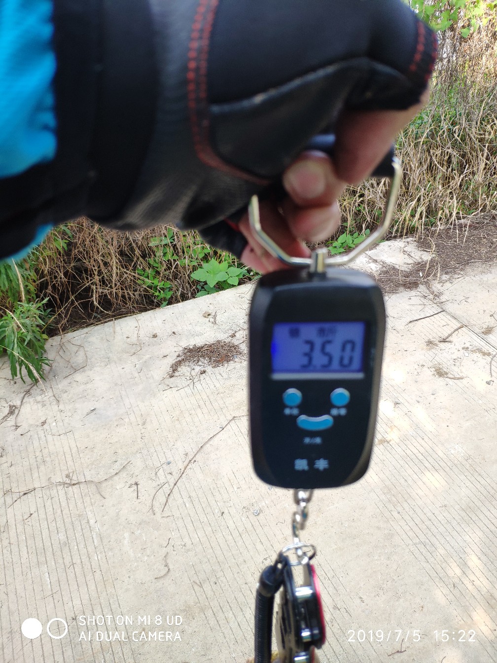 黑鱼钓上岸了怎么办,黑鱼新手