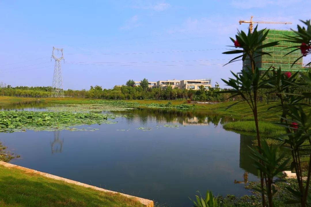 大学之城全力冲刺精雕细琢不留遗憾