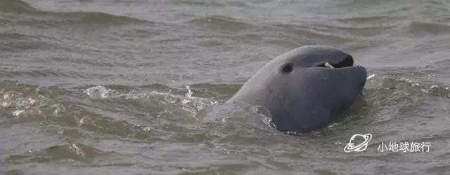 缅甸一日游经典攻略,缅甸旅游3-4天攻略最佳线路