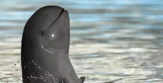 缅甸一日游经典攻略,缅甸旅游3-4天攻略最佳线路