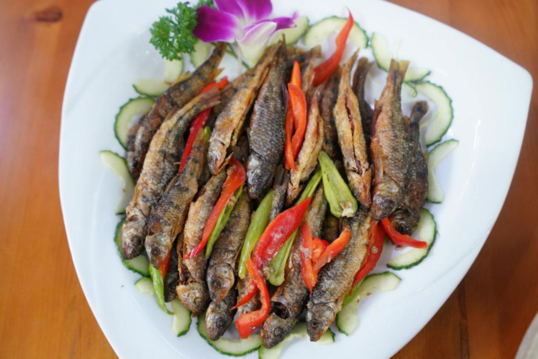 可以大快朵颐的野生溪鱼，矿物质养生的古温泉！杭州这个村还美成一幅画…