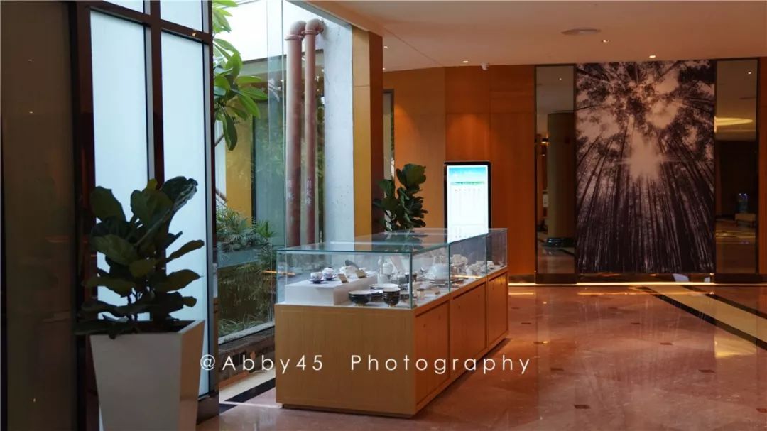 厦门这是个什么神仙酒店,不仅有金砖国宴佛跳墙,还有7万平森林