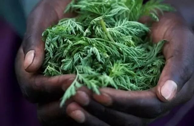 头皮发痒爱出油是什么引起的,头皮出油严重痒是什么原因引起的