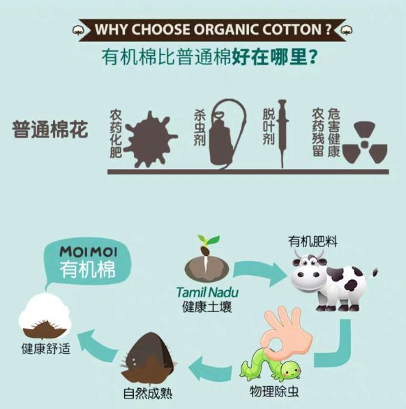 预告|真正来自南极深海的银鳕鱼100%有机棉韩国明星儿童内衣让孩子远离电视的《全脑思维游戏书》