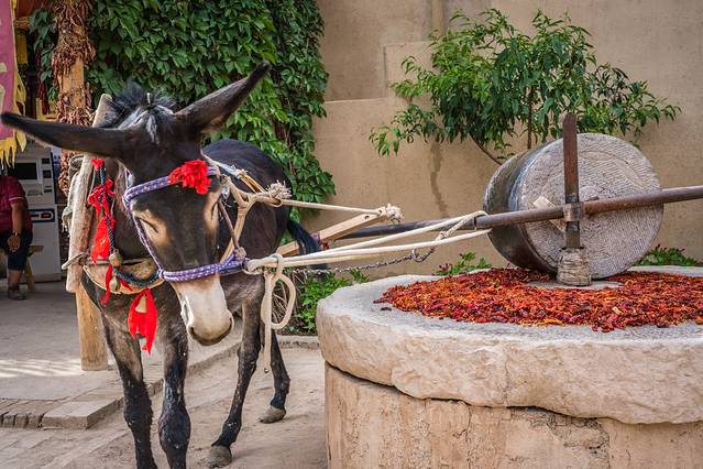 没想到，真有人在大漠建了一座能看星星的边城驿站
